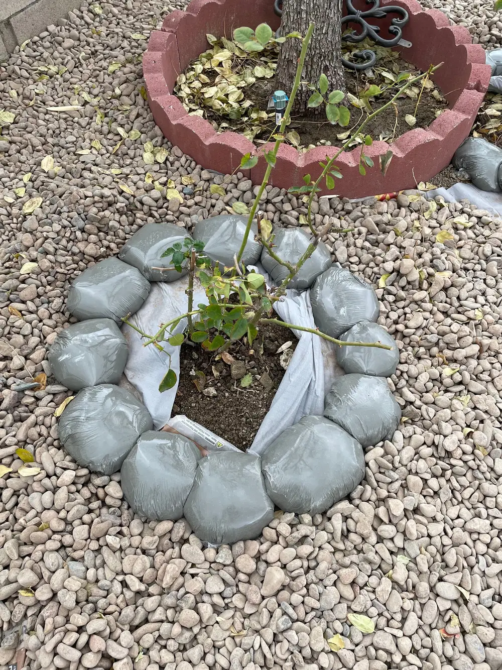 完工 — 花架细节