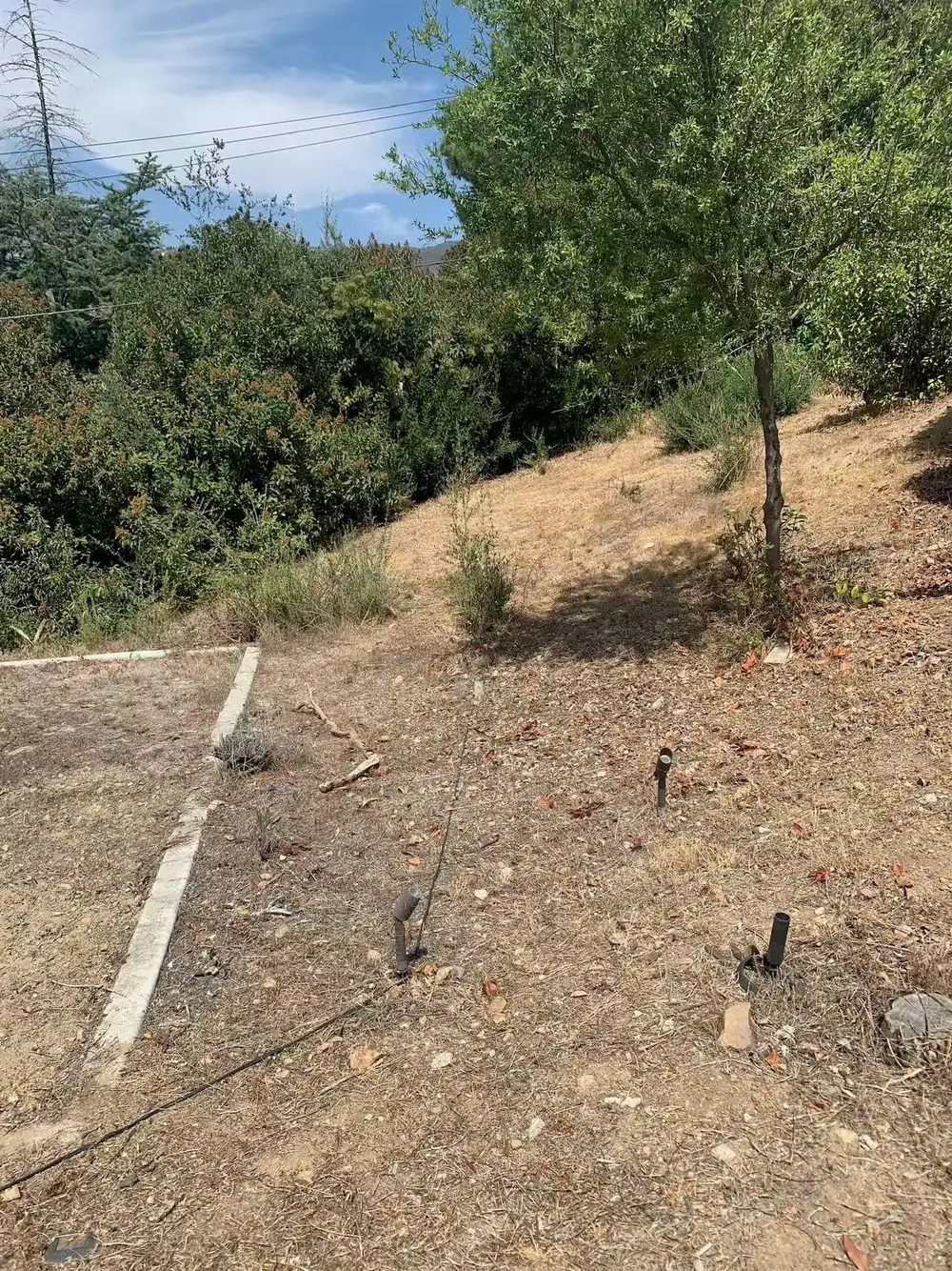 改造前 — 原始山坡，满地黄土杂草