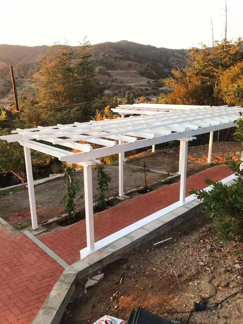 完工 — 40 尺 L 型花架俯瞰